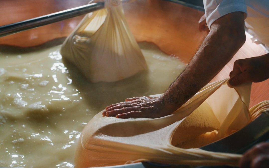 Il Parmigiano Reggiano , storia di un prodotto straordinario